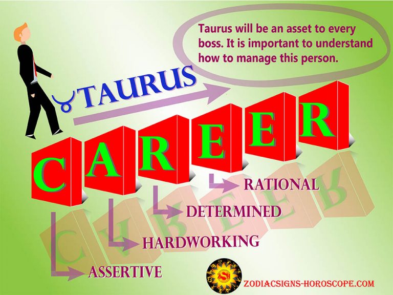 Taurus Career Horoscope Best Job Career Options for Taurus