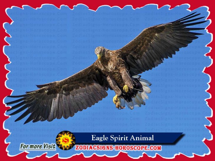 eagle-spirit-animal-meaning-symbolism-dream-of-the-eagle-totem