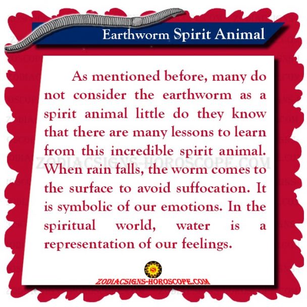 Earthworm Spirit Animal: Meaning, Symbolism, Dream of Earthworm Totem