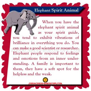 Elephant Spirit Animal: Meaning, Symbolism, Dreams of Elephant Totem