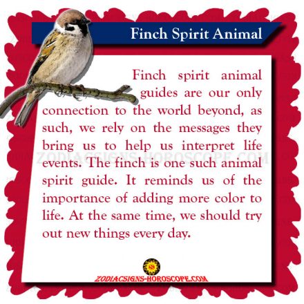 Finch Spirit Animal: Meaning, Symbolism, Dreams of Finch Totem