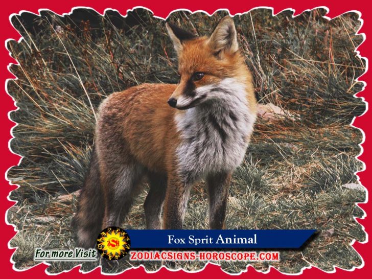 fox-spirit-animal-meaning-symbolism-dreams-of-fox-animal-totem