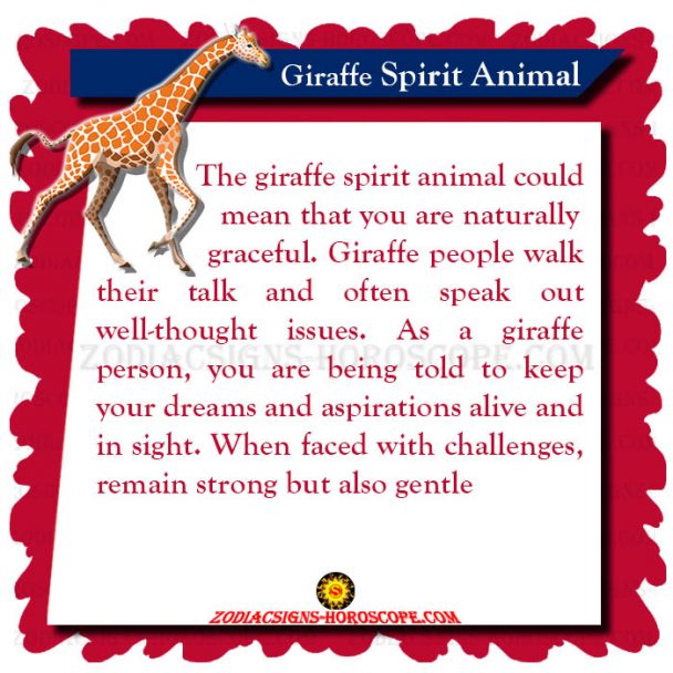 Giraffe Spirit Animal: Meaning, Symbolism, Dreams of Giraffe Totem