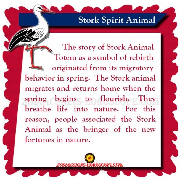 Stork Animal Totem Meaning and Symbolism of the Stork Spirit Animal