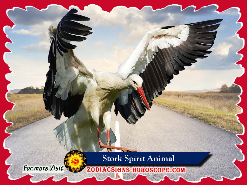 Stork Animal Totem: Meaning and Symbolism of the Stork Spirit Animal