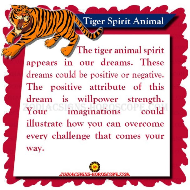 tiger-spirit-animal-meaning-symbolism-dreams-of-the-tiger-totem