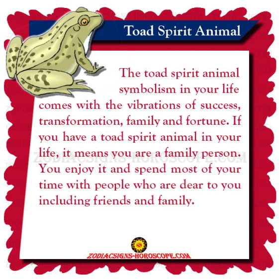 Toad Spirit Animal: Meaning and Symbolism of the Toad Totem | ZSH