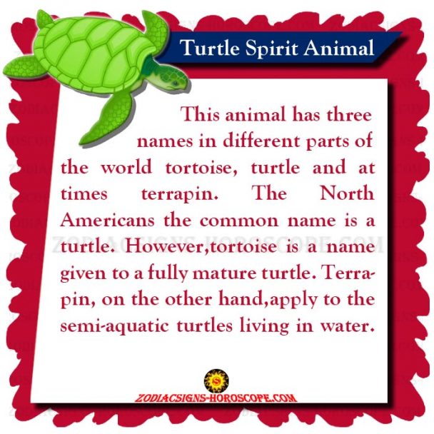 Turtle Spirit Animal Meaning, Symbolism, Dreams of the Turtle Totem