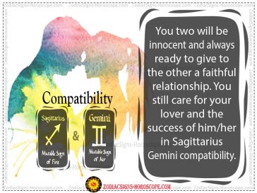 sag and gemini compatibility