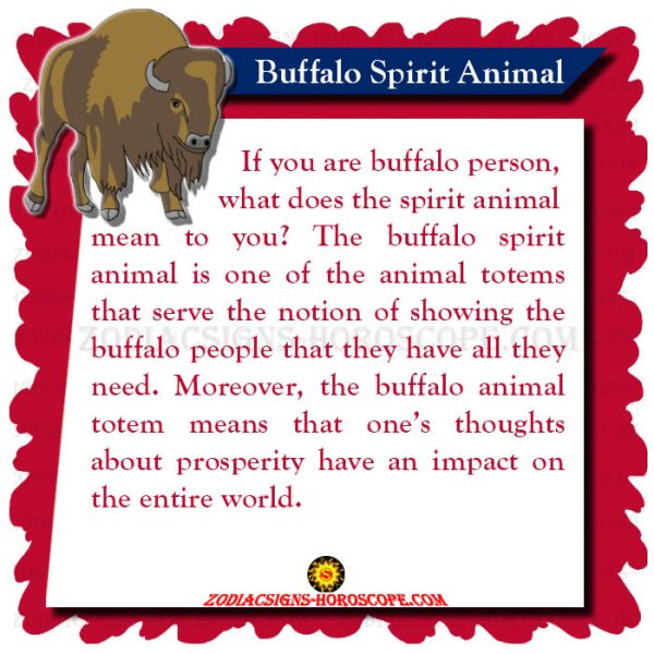 The Buffalo: Spirit Animal, Totem, Meaning, Symbolism and Dream