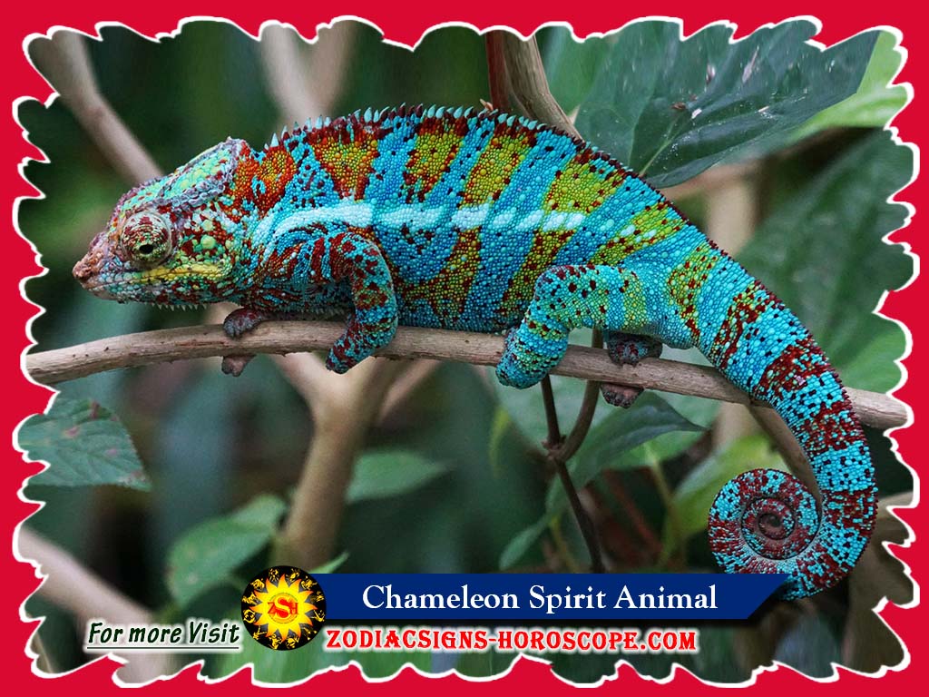 Chameleon: Spirit Animal, Totem, Meaning, Symbolism and Dreams