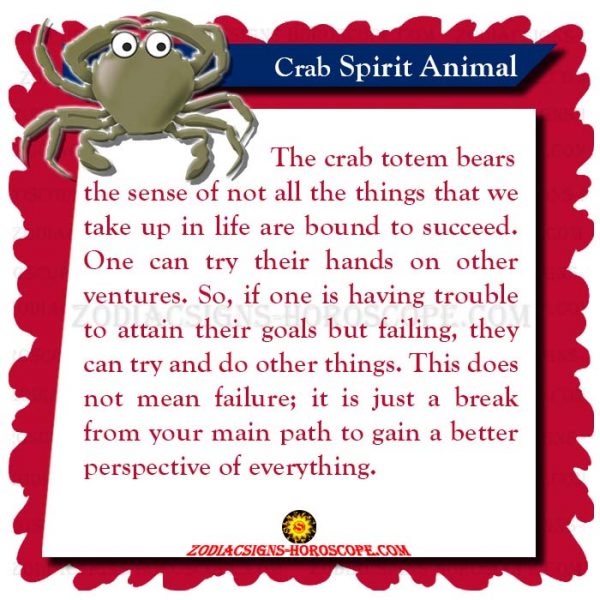 crab-symbolism-dreams-and-messages-spirit-animal-totems