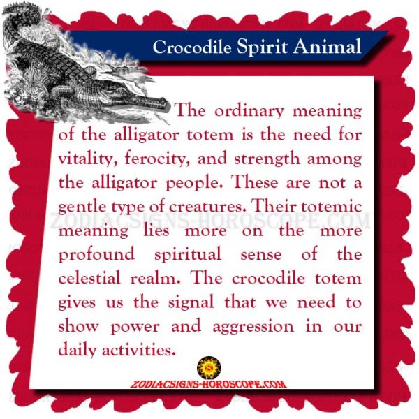 Crocodile Spirit Animal: Totem, Meaning, Symbolism and Dream