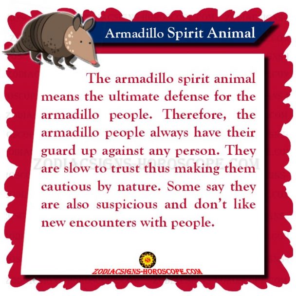 The Armadillo Spirit Animal: Meaning and Symbolism of Armadillo Totem