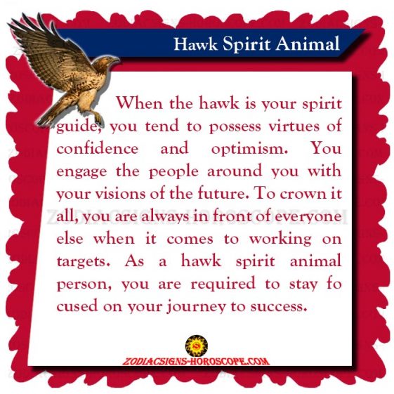 Hawk Spirit Animal: Meaning, Symbolism and Dreams of Hawk Totem