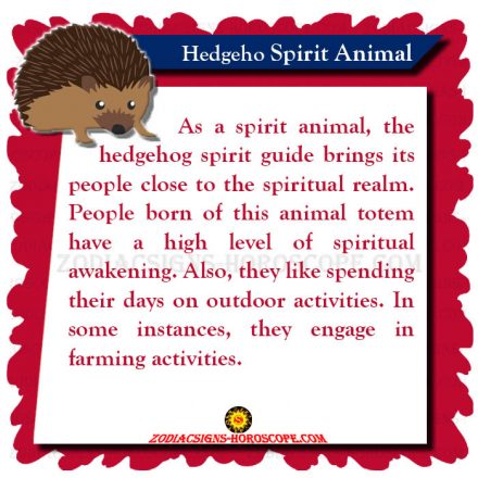 Hedgehog Spirit Animal: Meaning, Symbolism, Hedgehog Totem Dreams