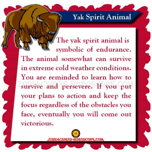 The Yak Spirit Animal: Meaning, Symbolism and Dreams of Yak Totem