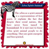 zebra primal astrology compatibility
