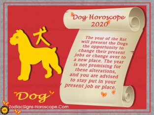 Dog Horoscope 2020 - Chinese New Year 2020 for Dog Zodiac