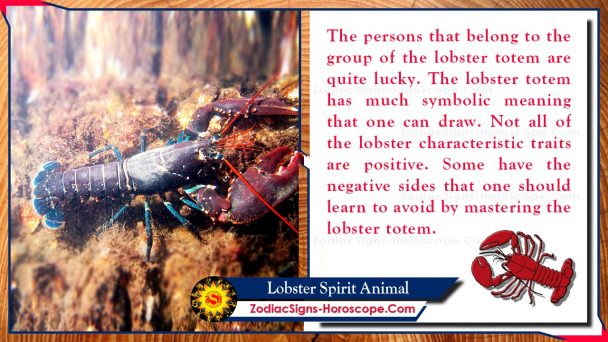 Lobster Spirit Animal: Meaning, Symbolism, Significance & Dreams | ZSH