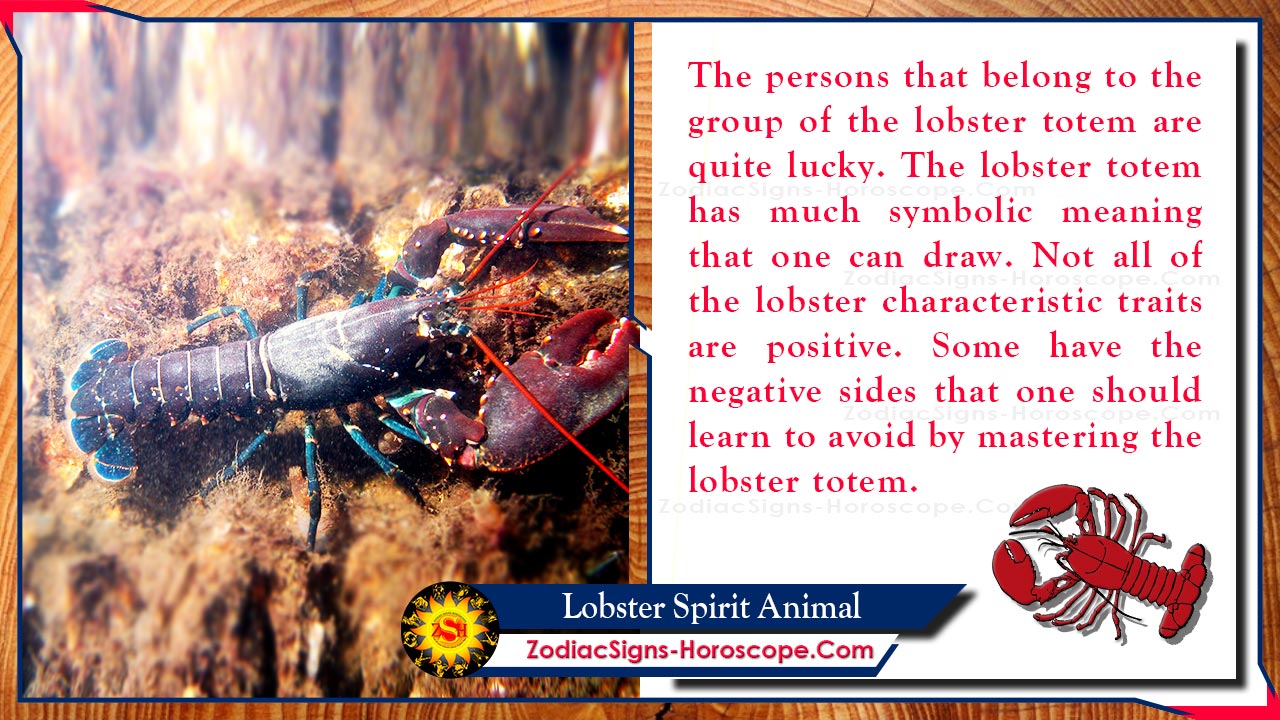 Lobster Spirit Animal Meaning, Symbolism, Significance & Dreams ZSH