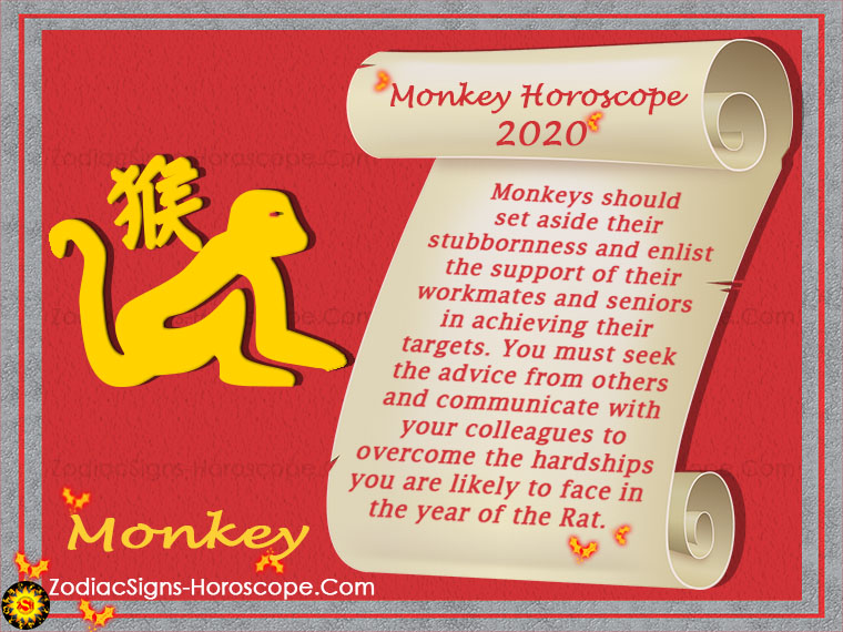 Monkey Horoscope 2020 Chinese New Year 2020 Predictions