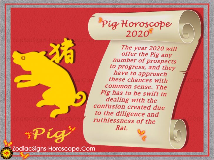 Pig Horoscope 2020 – Chinese New Year 2020 Predictions for Pig Zodiac