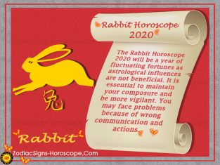 Rabbit Horoscope 2020 - Chinese New Year 2020 Predictions for Rabbit