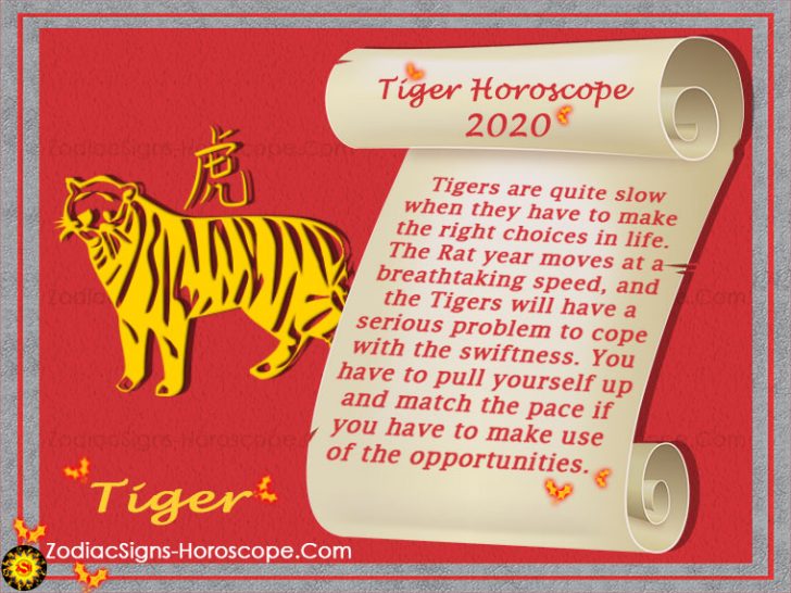 Tiger Horoscope 2020 - Chinese New Year 2020 Predictions for Tiger