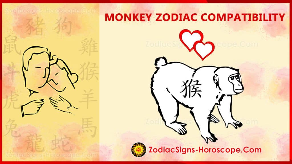 Monkey Compatibility Love And Marriage Chinese Zodiac Compatibility