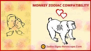 Ox and Rabbit Love Compatibility, Relationship &amp; Traits in Chinese Zodiac