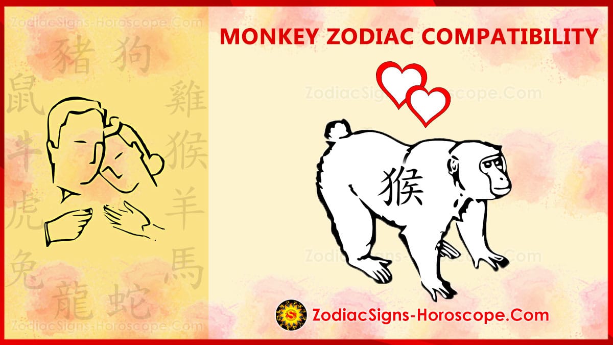 monkey-compatibility-love-and-marriage-chinese-zodiac-compatibility