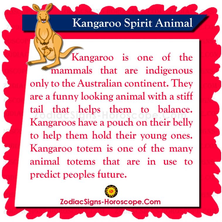 Kangaroo Spirit Animal: Meaning and Symbolism - Kangaroo Totem | ZSH