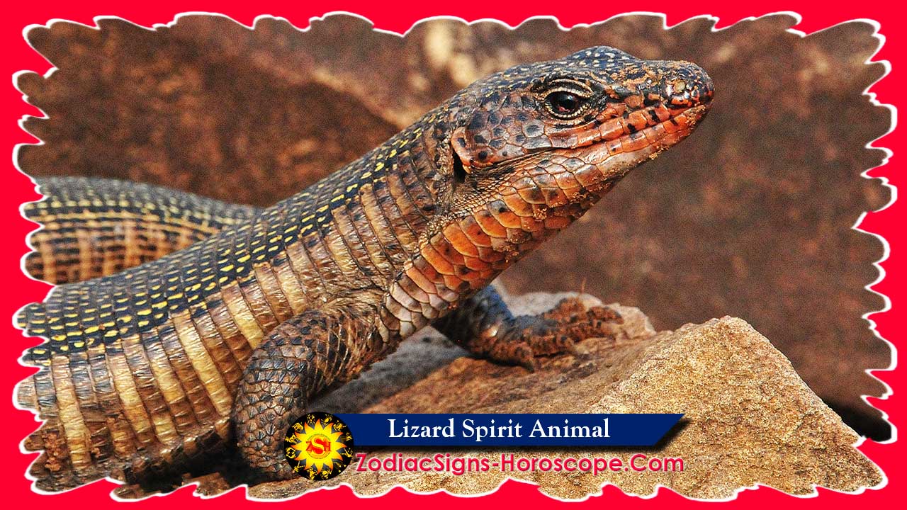 lizard-spirit-animal-meaning-and-symbolism-lizard-animal-totem-zsh