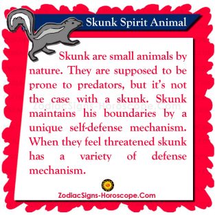 Skunk Spirit Animal: Meaning and Symbolism - Skunk Animal Totem | ZSH