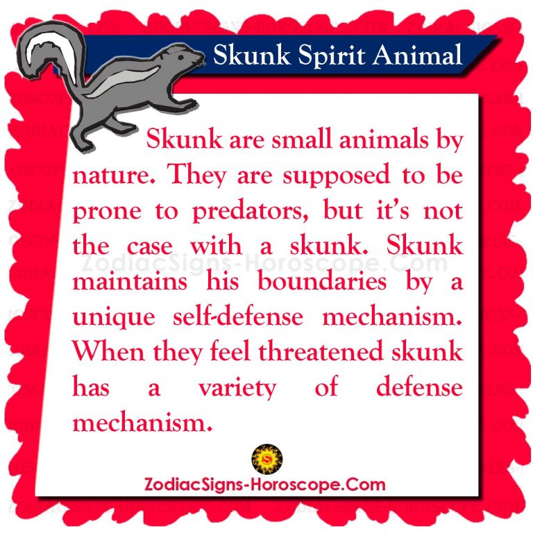 Skunk Spirit Animal Meaning And Symbolism Skunk Animal Totem ZSH   Skunk Spirit Animal 2 768x768 