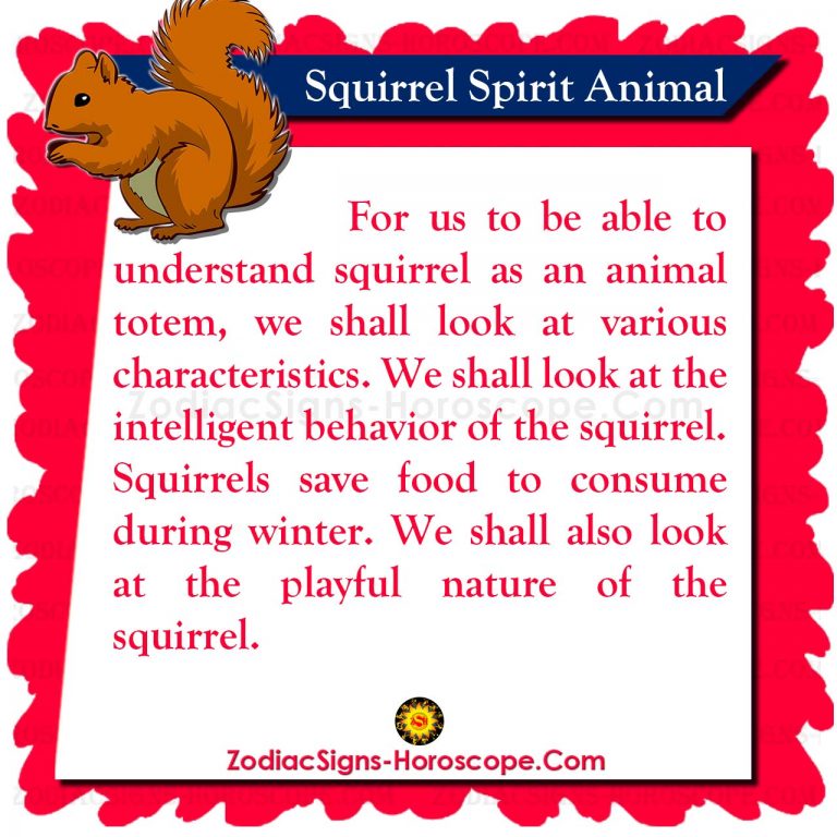 Squirrel Spirit Animal: Meaning, Messages, Dreams and Symbolism | ZSH