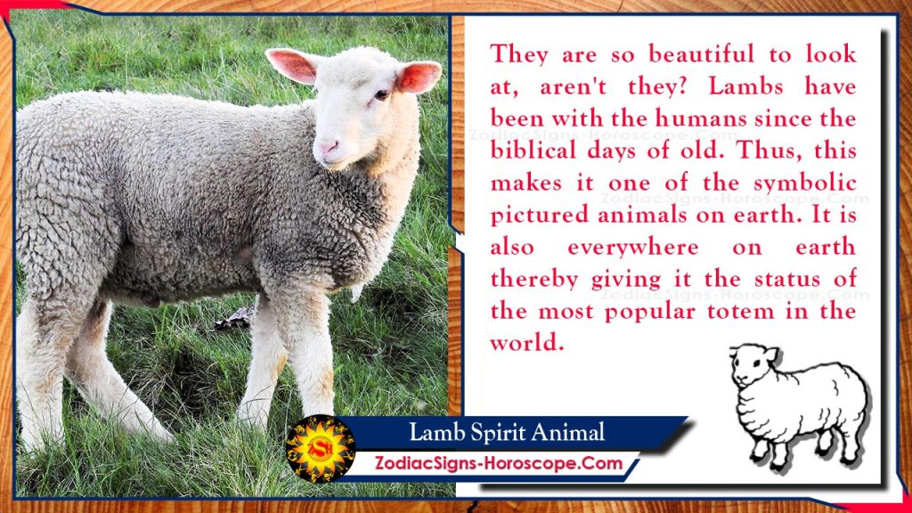 lamb-spirit-animal-totem-meaning-symbolism-and-dreams-zsh