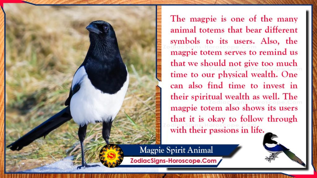 What Does Seeing 30 Magpies Mean