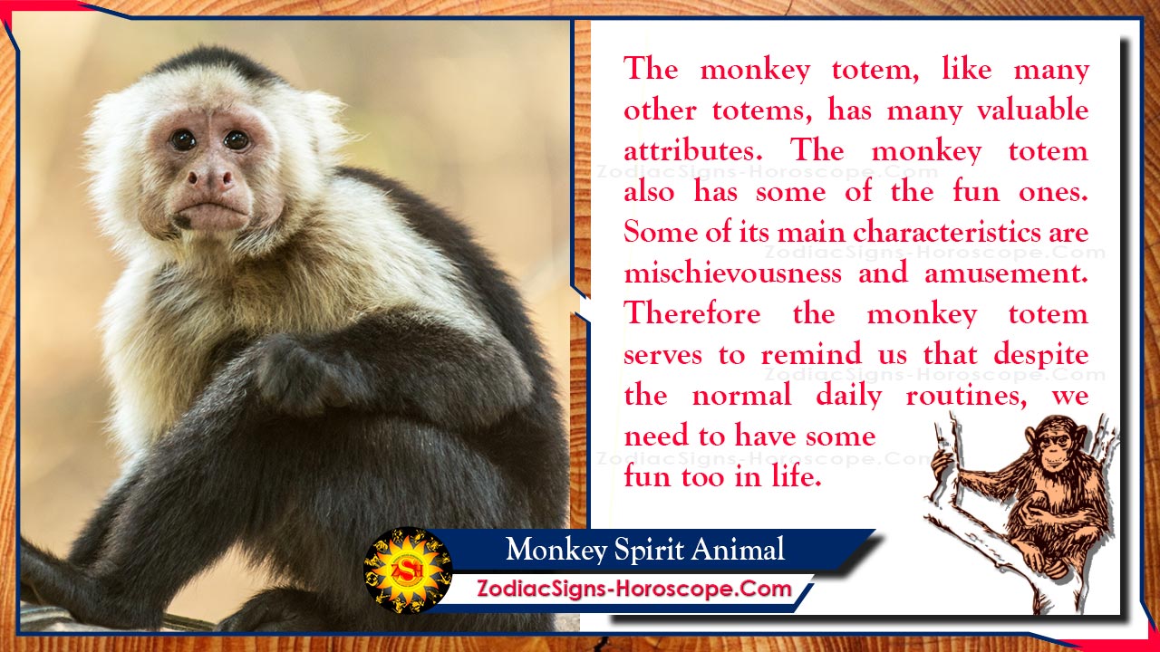 Monkey Spirit Animal Totem Meaning Symbolism And Dreams Zsh