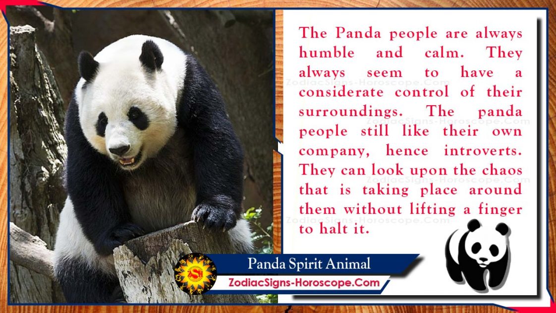 Panda Spirit Animal: Totem, Meaning, Symbolism and Dreams | ZSH