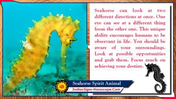 Seahorse Spirit Animal: Totem, Meaning, Messages and Symbolism | ZSH