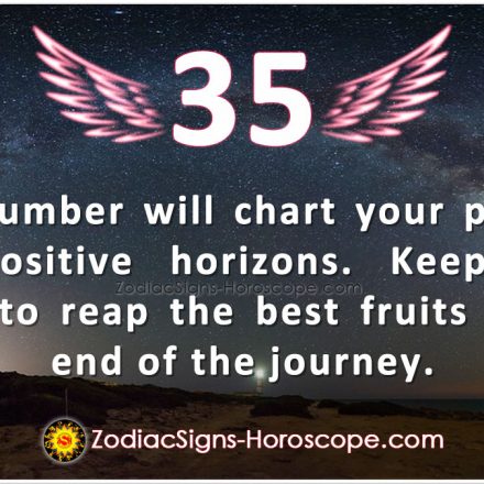 11 23 93 zodiac sign