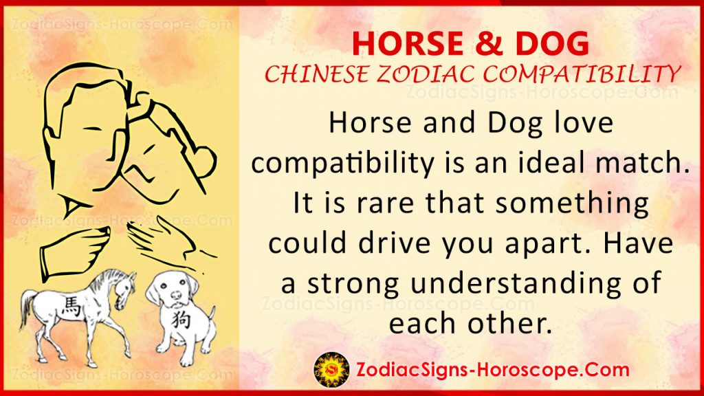 Horse and Dog Chinese Zodiac Compatibility: Love and Relationship