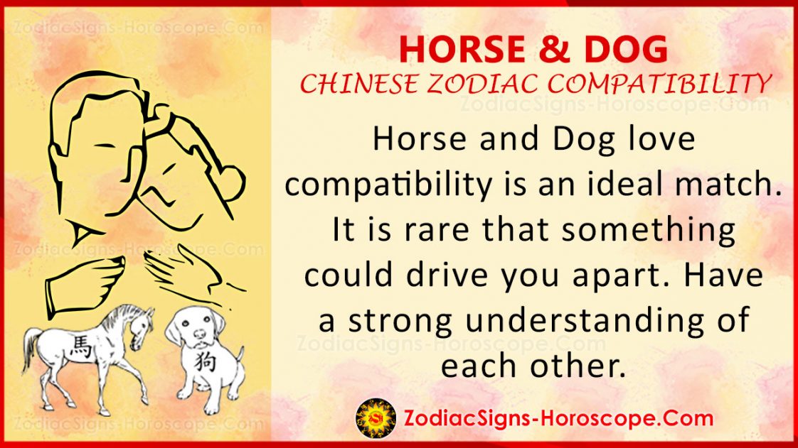 chinese astrology horse compatibility