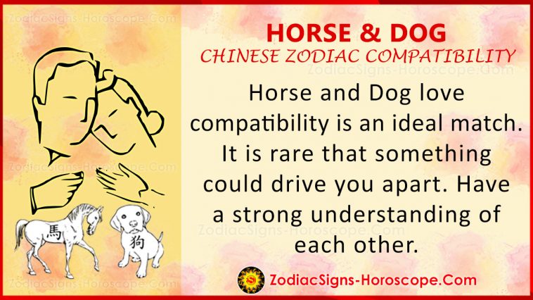 chinese astrology sexual compatibility