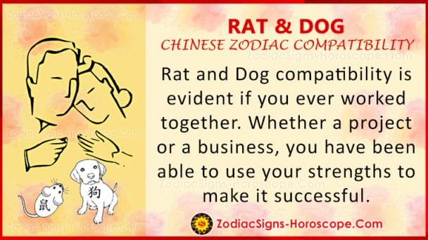 rat-and-dog-love-compatibility-relationship-and-traits-in-chinese-zodiac