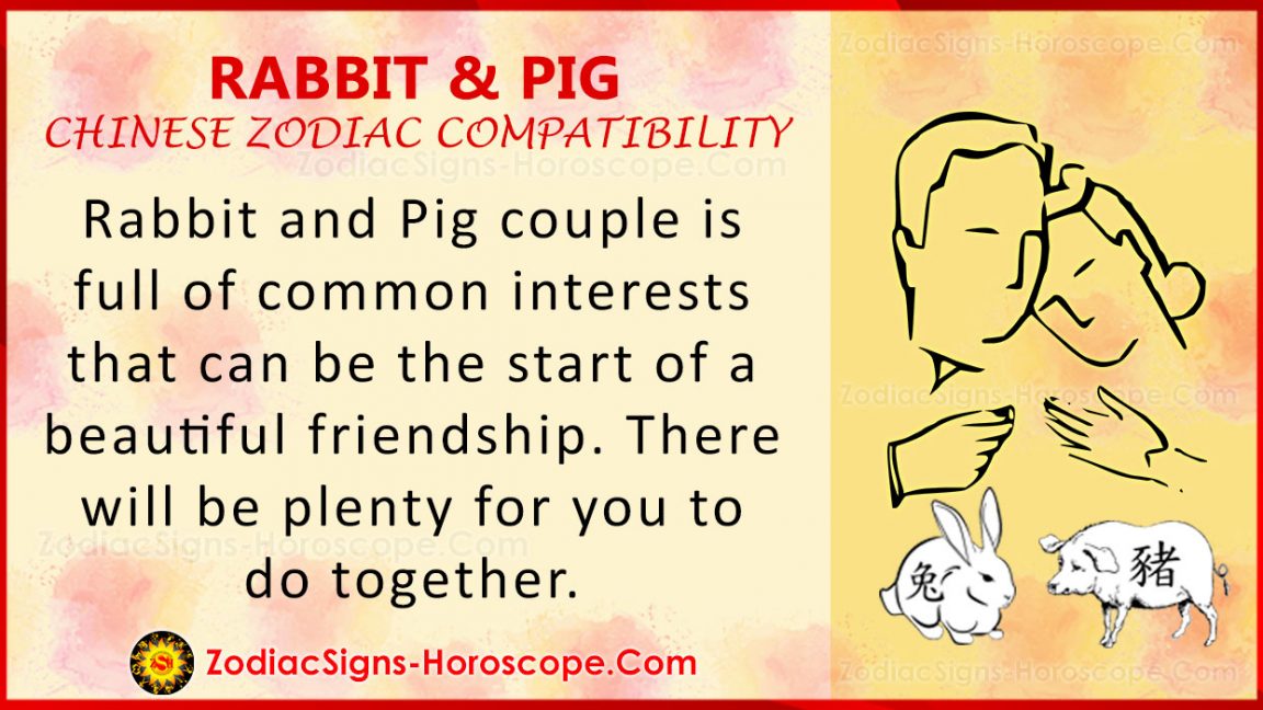 Rabbit and Pig Chinese Zodiac Compatibility: Love and Relationship