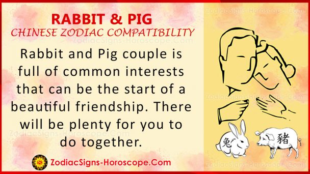 Rabbit and Pig Chinese Zodiac Compatibility: Love and Relationship