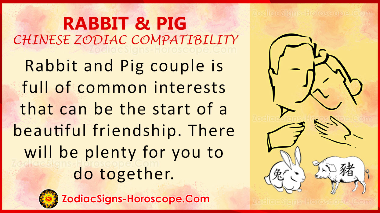 rabbit-and-pig-chinese-zodiac-compatibility-love-and-relationship